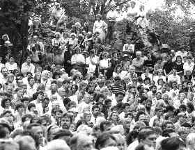 INFO2_2.JPG (33948 BYTES)