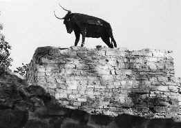 INFO1_2.JPG (17389 BYTES)