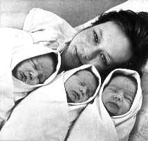 PN1_2.JPG (14372 BYTES)