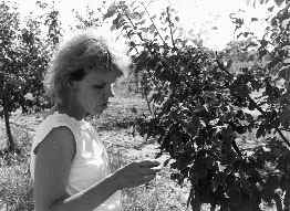 PRO1_1.JPG (25041 BYTES)