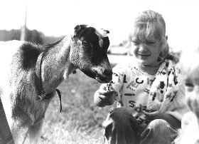 SP4_3.JPG (17065 BYTES)