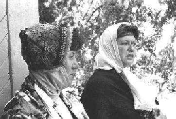 lib1.jpg (20196 bytes)