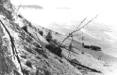 lib2.jpg (18240 bytes)