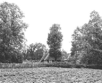 lib3.jpg (22620 bytes)