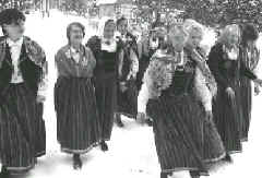 pie_1.JPG (31096 bytes)