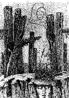 pie_5.JPG (153869 bytes)