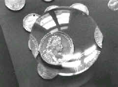 purs_4.JPG (25116 bytes)