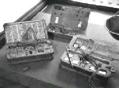 purs_5.JPG (29324 bytes)