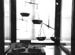 purs_6.JPG (22492 bytes)