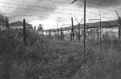 lag_5.JPG (5473 bytes)