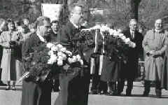 dip1_3.JPG (35679 bytes)