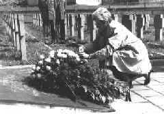 info0_4.JPG (37312 bytes)