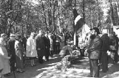 info0_6.JPG (50249 bytes)