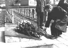 info0_8.JPG (33303 bytes)