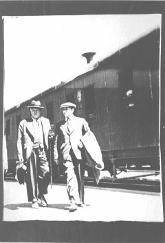 ULMANIS.JPG (15055 BYTES)