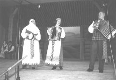 VILMA.JPG (8717 BYTES)