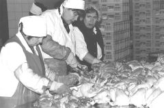 P16.JPG (10270 BYTES)