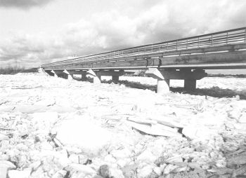 P1.JPG (19169 BYTES)