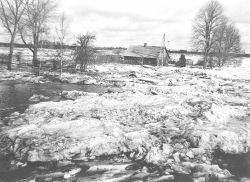 P10.JPG (15124 BYTES)