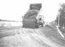 P11.JPG (10100 BYTES)