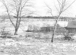 P12.JPG (14180 BYTES)