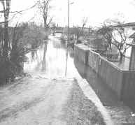 P2.JPG (11544 BYTES)