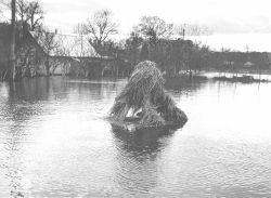 P9.JPG (10766 BYTES)