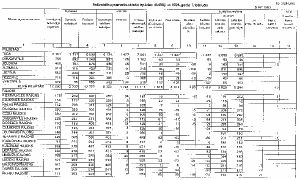 13.JPG (20424 BYTES)