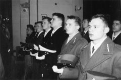 VIRS2.JPG (8902 BYTES)