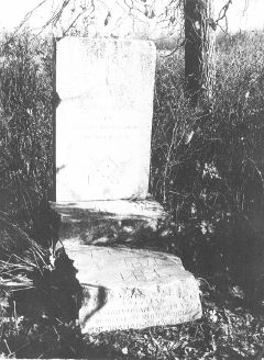 Z4.JPG (23966 BYTES)