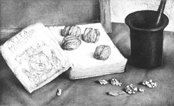 M2.JPG (21933 BYTES)