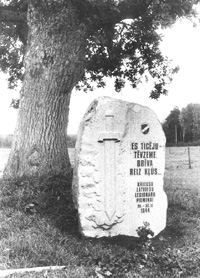 XX3.JPG (36588 BYTES)