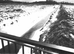 R6.JPG (13345 BYTES)