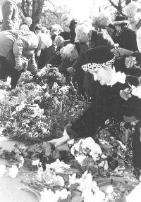 C5.JPG (19567 BYTES)