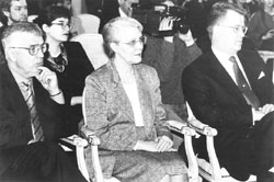 D3.JPG (19245 BYTES)