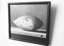 ST4.JPG (11010 BYTES)