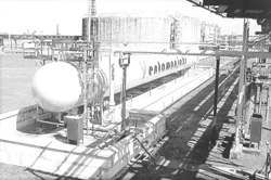 AMON3.JPG (27023 BYTES)