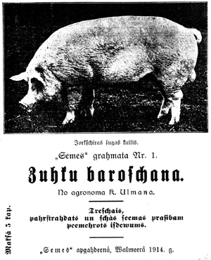 KUILIS.JPG (56385 BYTES)