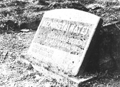 M2.JPG (31105 BYTES)