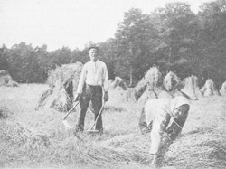 SIENS.JPG (24192 BYTES)