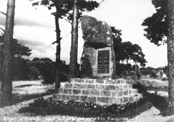 V3.JPG (21218 BYTES)