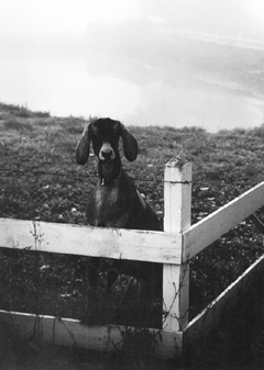 F4.JPG (28696 BYTES)