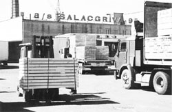 S3.JPG (17947 BYTES)