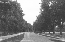 P4.JPG (20389 BYTES)