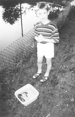 P11.JPG (33017 BYTES)