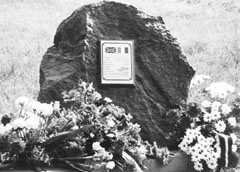 E6.JPG (21426 BYTES)