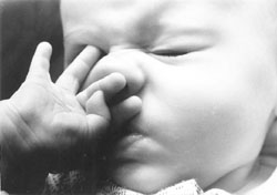 BI4.JPG (10142 BYTES)