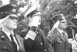 X3.JPG (19194 BYTES)