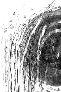 X1.JPG (30080 BYTES)