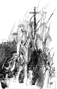 X2.JPG (30291 BYTES)